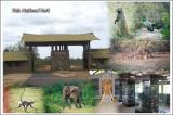 Yala National Park